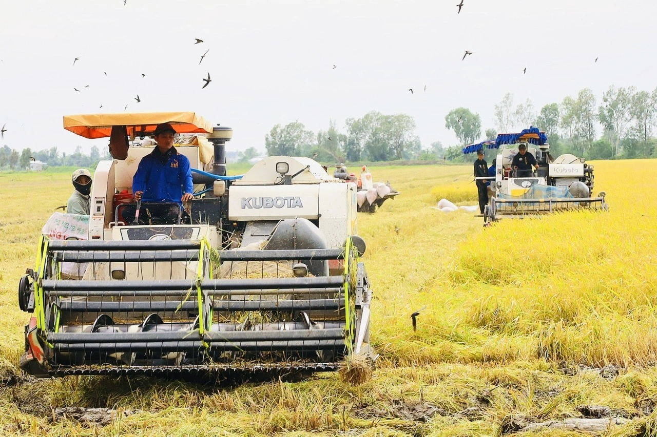The Mekong Delta is facing many development paradoxes